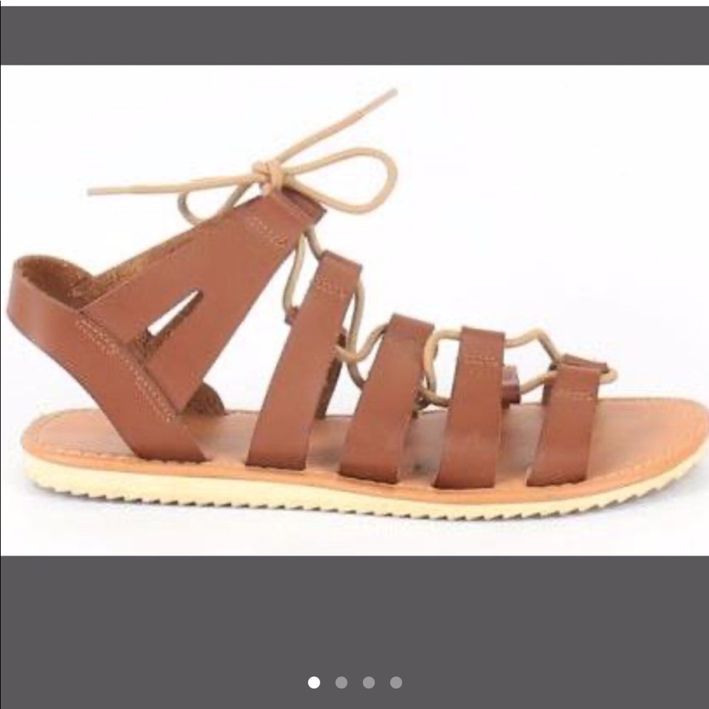 Daisy Fuentes Brown Gladiator Sandals, Size:7.5